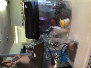 IMG_0727[1]